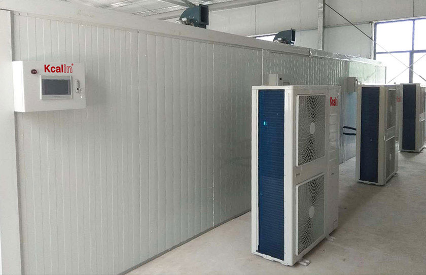Henan Ruyang Chrysanthemum Drying Project